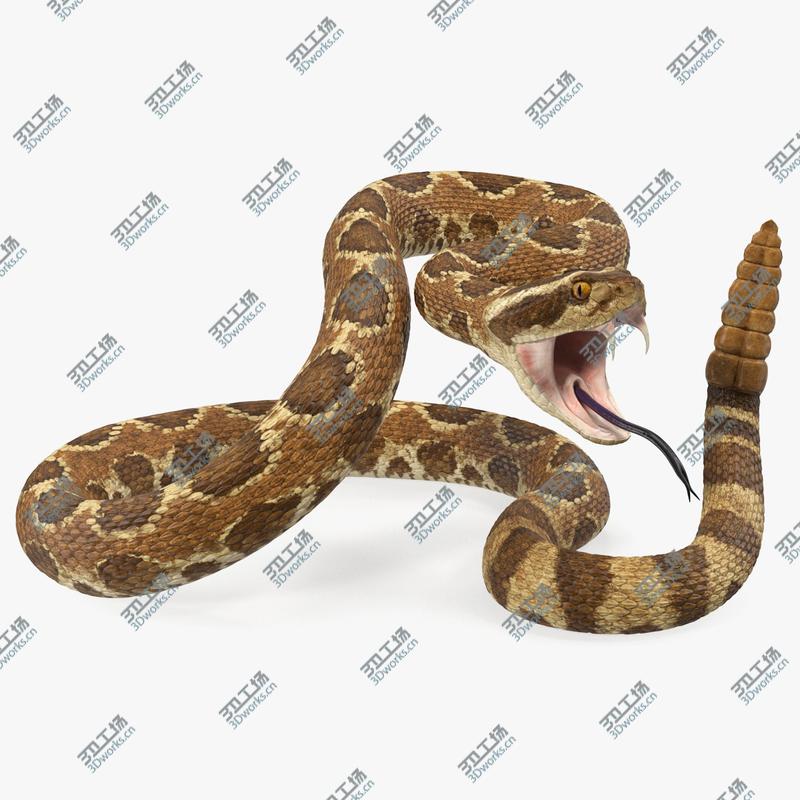 images/goods_img/202104093/Light Rattlesnake Attack Pose 3D/1.jpg